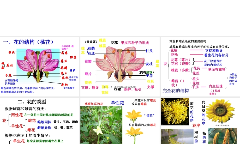 八年级生物上册 4.1.1 花的结构和类型课件 济南版-济南级上册生物课件