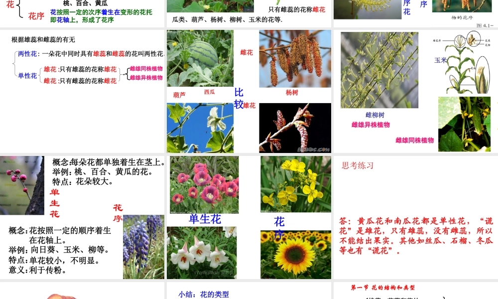 八年级生物上册 4.1.1 花的结构和类型课件 济南版-济南级上册生物课件