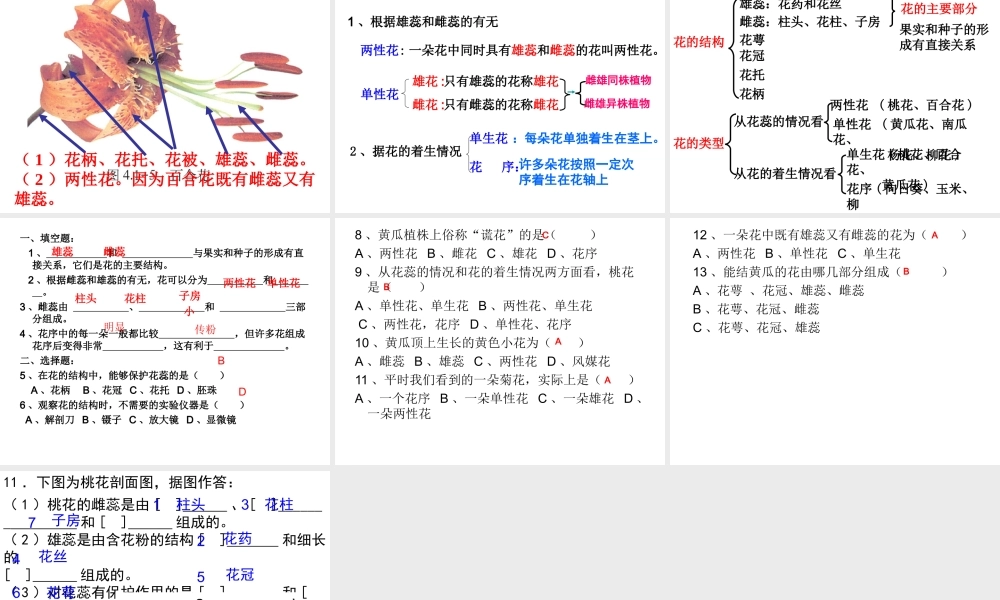 八年级生物上册 4.1.1 花的结构和类型课件 济南版-济南级上册生物课件