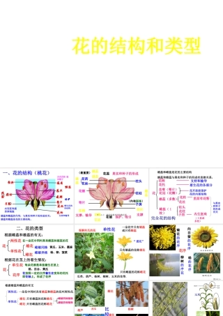 八年级生物上册 4.1.1 花的结构和类型课件 济南版-济南级上册生物课件