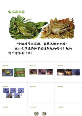 八年级生物上册 4.2.2《两栖动物的生殖和发育》课件1 （新版）济南版-（新版）济南级全册生物课件