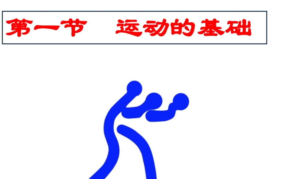 八年级生物上册 4.1.1 运动的基础课件 （新版）冀教版-（新版）冀教版初中八年级上册生物课件
