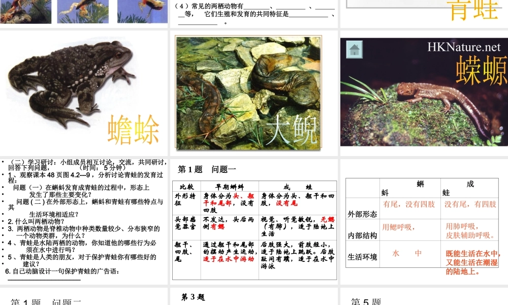 八年级生物上册 4.2.2《两栖动物的生殖和发育》课件2 （新版）济南版-（新版）济南版初中八年级上册生物课件