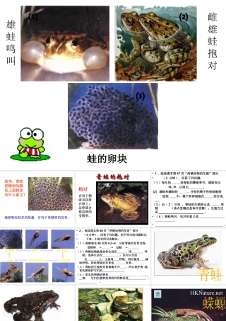 八年级生物上册 4.2.2《两栖动物的生殖和发育》课件2 （新版）济南版-（新版）济南版初中八年级上册生物课件