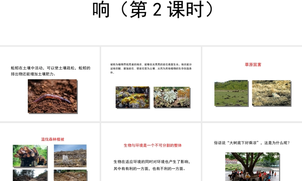 八年级生物上册 1.1.2《生物与环境的相互影响》（第2课时）课件2 （新版）新人教版-（新版）新人教版初中八年级上册生物课件