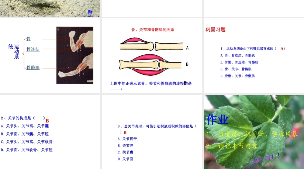 八年级生物上册 4.1.1 运动的基础课件 （新版）冀教版-（新版）冀教级上册生物课件