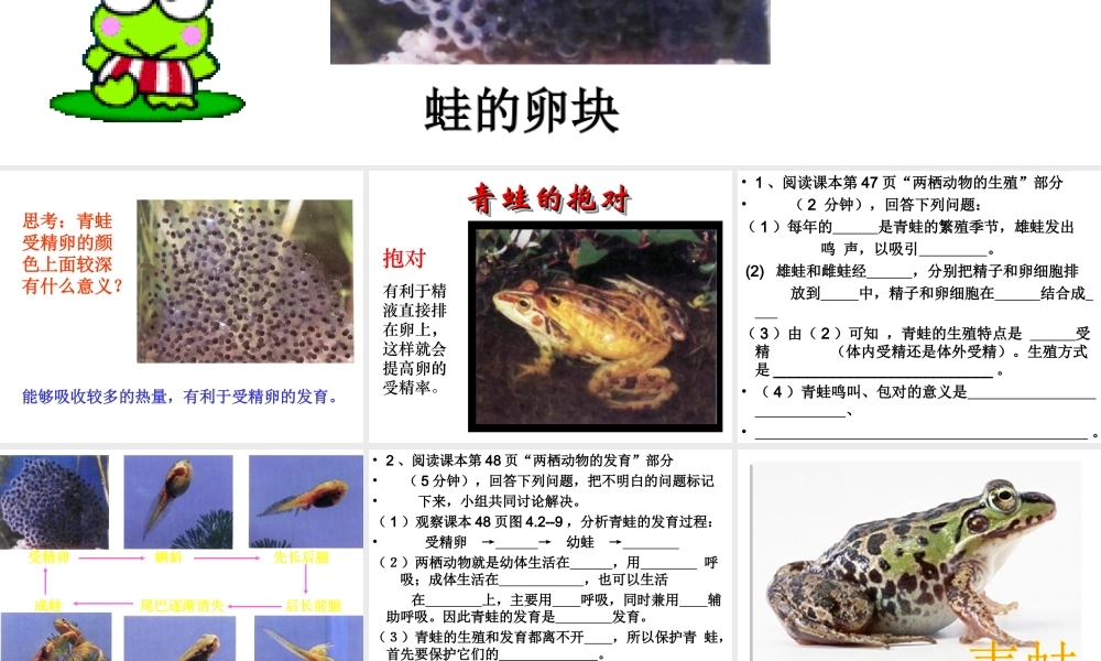八年级生物上册 4.2.2《两栖动物的生殖和发育》课件2 （新版）济南版-（新版）济南级上册生物课件