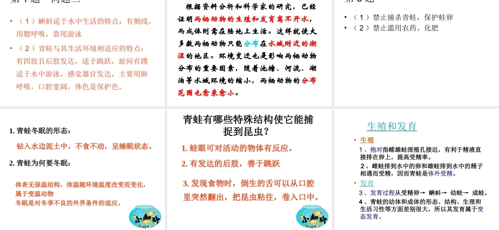 八年级生物上册 4.2.2《两栖动物的生殖和发育》课件2 （新版）济南版-（新版）济南级上册生物课件