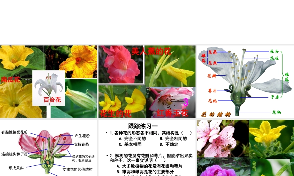 八年级生物上册 4.1.1《花的结构和类型》（第1课时）课件 （新版）济南版-（新版）济南级上册生物课件