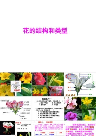 八年级生物上册 4.1.1《花的结构和类型》（第1课时）课件 （新版）济南版-（新版）济南级上册生物课件