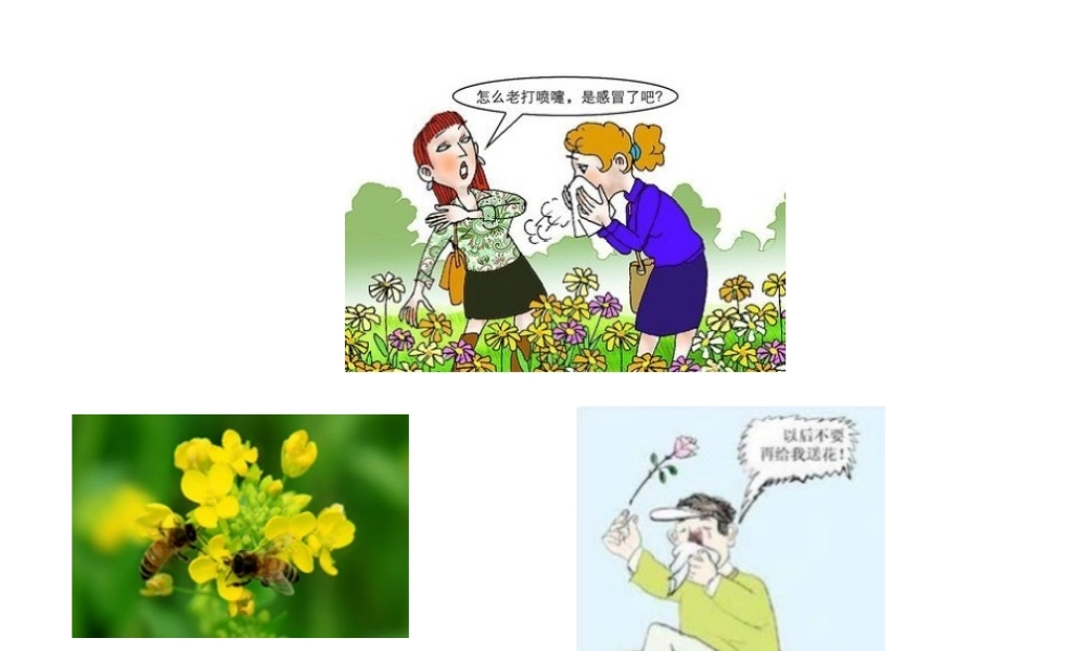 八年级生物上册 1.2 传粉与受精课件 （新版）济南版