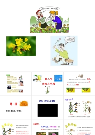 八年级生物上册 1.2 传粉与受精课件 （新版）济南版