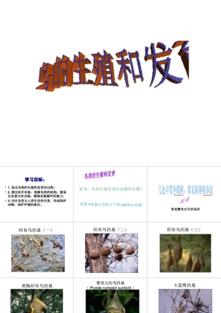 八年级生物上册 4.2.3 鸟的生殖和发育课件 （新版）济南版-（新版）济南级上册生物课件