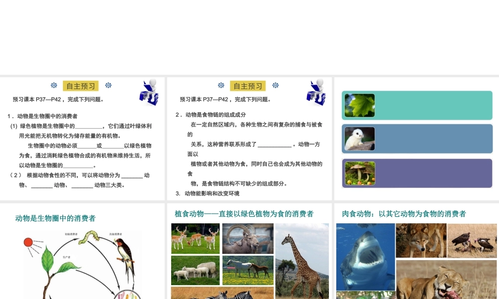 八年级生物上册 17.1《动物在生物圈中的作用》课件4 （新版）北师大版-（新版）北师大版初中八年级上册生物课件