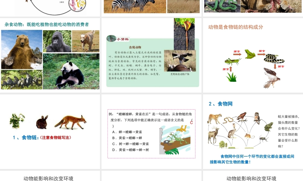 八年级生物上册 17.1《动物在生物圈中的作用》课件4 （新版）北师大版-（新版）北师大版初中八年级上册生物课件