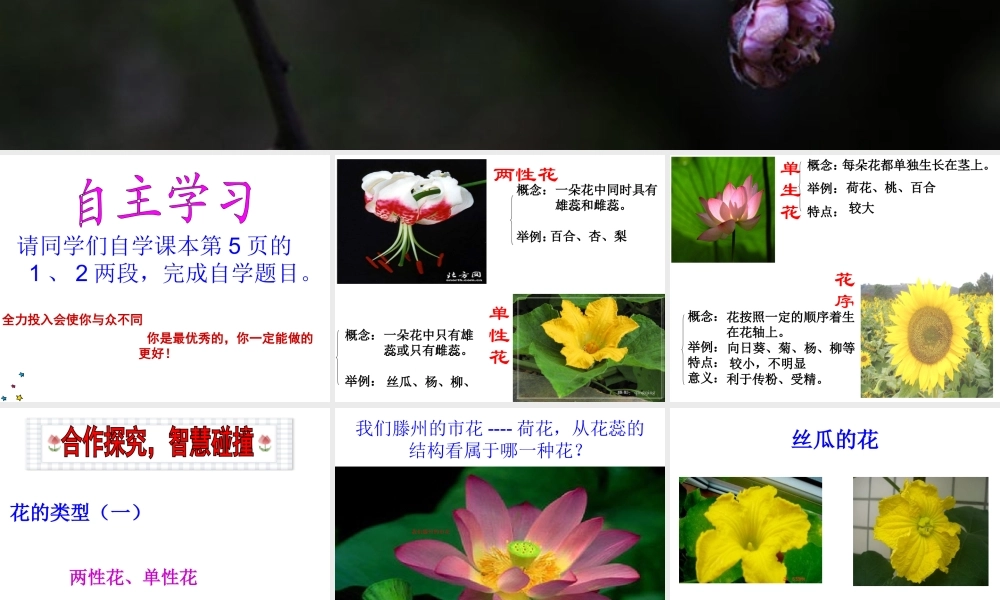 八年级生物上册 4.1.1《花的结构和类型》（第2课时）课件 （新版）济南版-（新版）济南版初中八年级上册生物课件