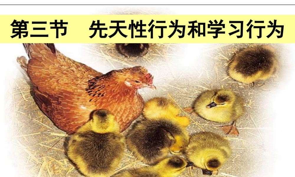 八年级生物上册 4.2.3 先天性行为和学习行为课件 （新版）冀教版-（新版）冀教版初中八年级上册生物课件