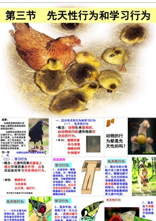 八年级生物上册 4.2.3 先天性行为和学习行为课件 （新版）冀教版-（新版）冀教版初中八年级上册生物课件
