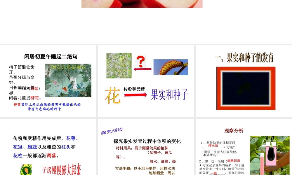 八年级生物上册 1.3 果实和种子的形成课件 （新版）济南版