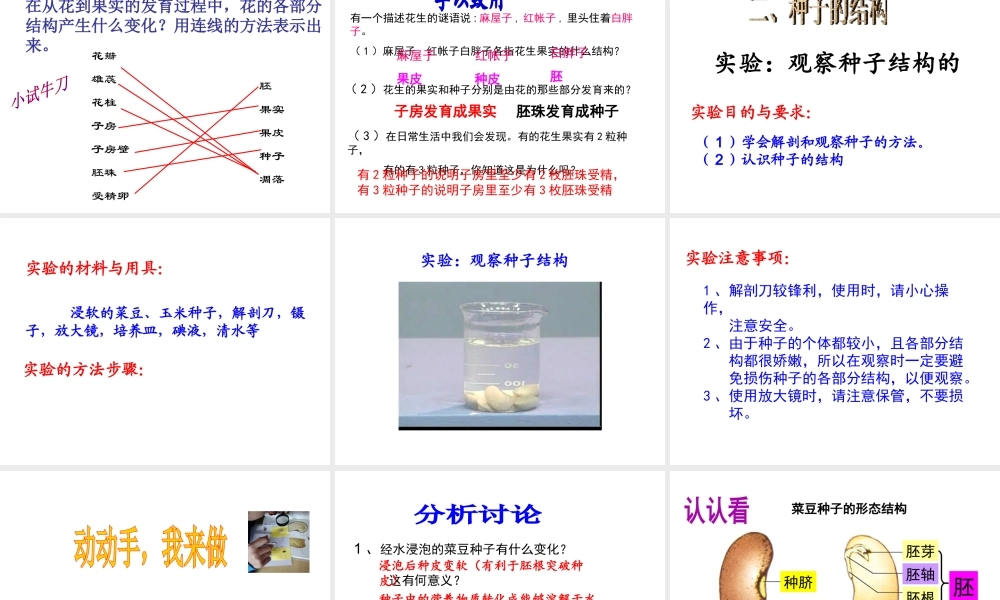 八年级生物上册 1.3 果实和种子的形成课件 （新版）济南版