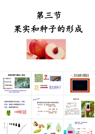 八年级生物上册 1.3 果实和种子的形成课件 （新版）济南版