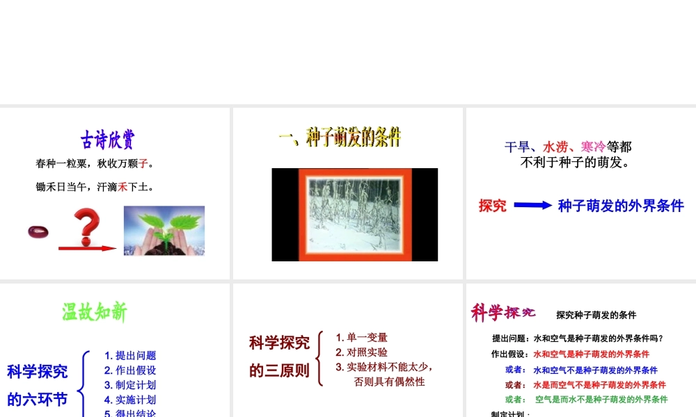 八年级生物上册 1.4 种子的萌发课件 （新版）济南版