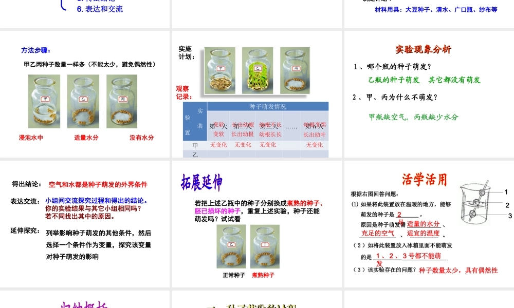 八年级生物上册 1.4 种子的萌发课件 （新版）济南版