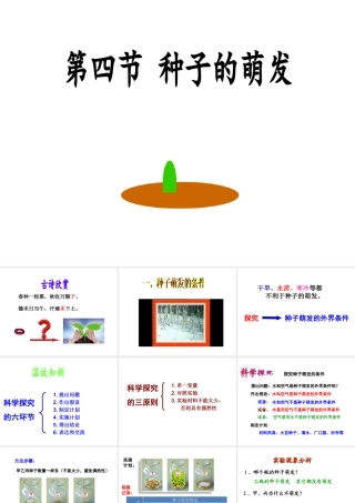 八年级生物上册 1.4 种子的萌发课件 （新版）济南版