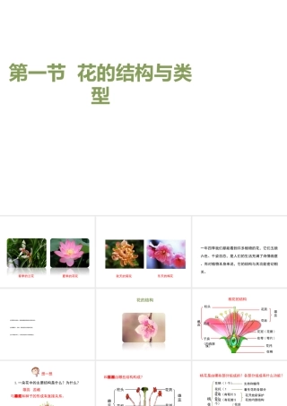 八年级生物上册 4.1.1《花的结构和类型》课件 （新版）济南版-（新版）济南版初中八年级上册生物课件