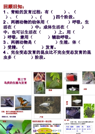八年级生物上册 4.2.3《鸟的生殖和发育》课件 （新版）济南版-（新版）济南版初中八年级上册生物课件