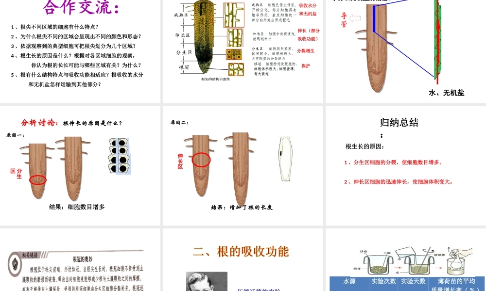 八年级生物上册 1.5 根的结构与功能课件 （新版）济南版
