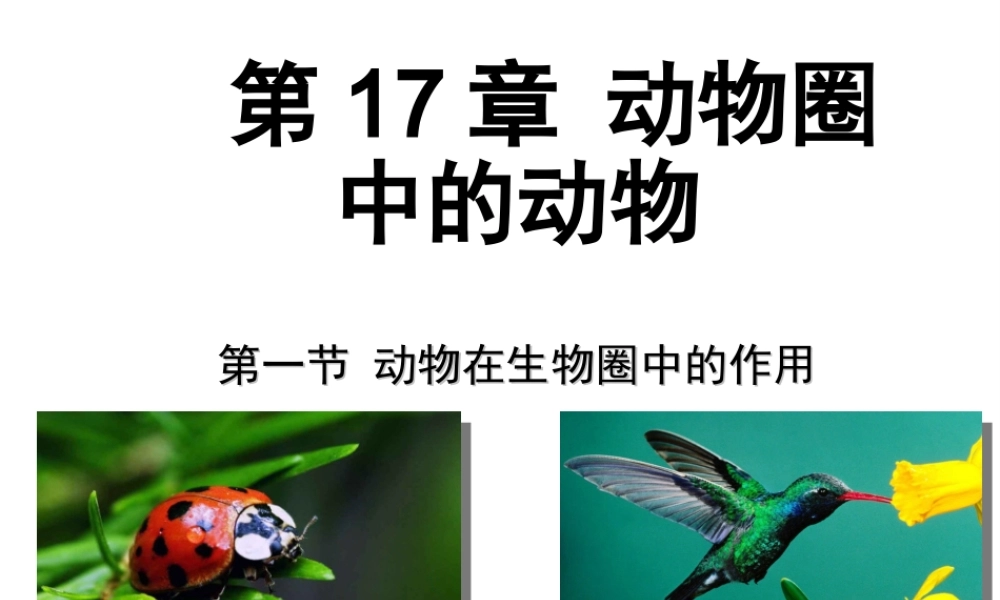 八年级生物上册 17.1《动物在生物圈中的作用》课件5 （新版）北师大版-（新版）北师大版初中八年级上册生物课件