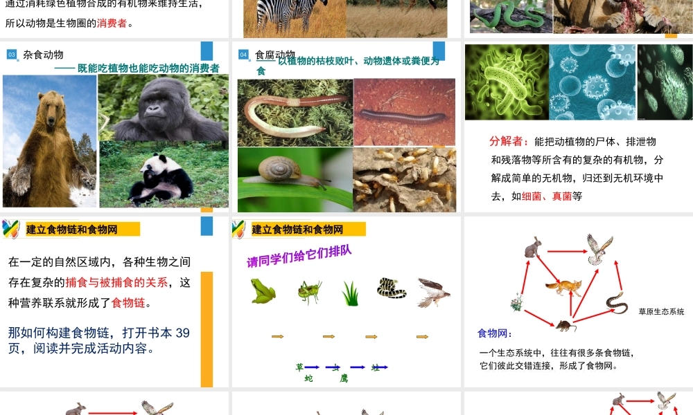 八年级生物上册 17.1《动物在生物圈中的作用》课件5 （新版）北师大版-（新版）北师大版初中八年级上册生物课件
