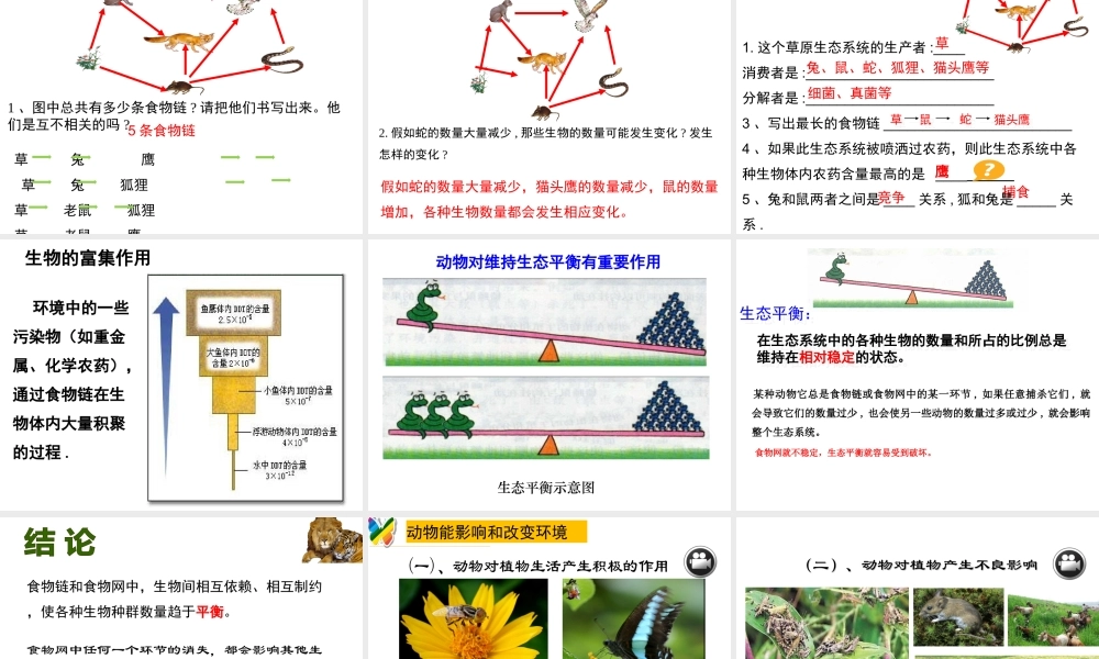 八年级生物上册 17.1《动物在生物圈中的作用》课件5 （新版）北师大版-（新版）北师大版初中八年级上册生物课件