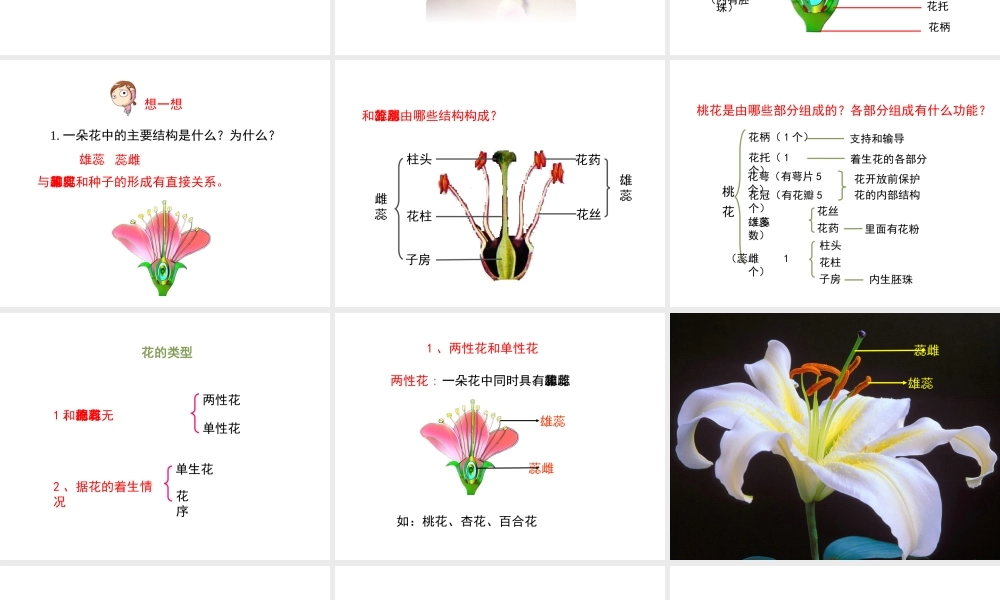 八年级生物上册 4.1.1《花的结构和类型》课件 （新版）济南版-（新版）济南级上册生物课件
