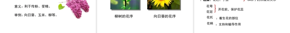 八年级生物上册 4.1.1《花的结构和类型》课件 （新版）济南版-（新版）济南级上册生物课件