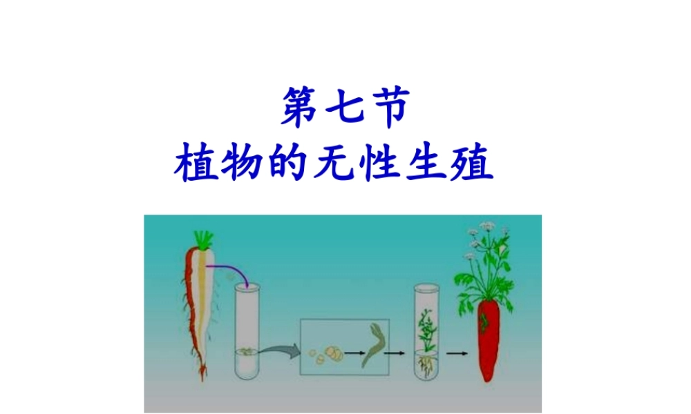 八年级生物上册 1.7 植物的无性生殖课件 （新版）济南版