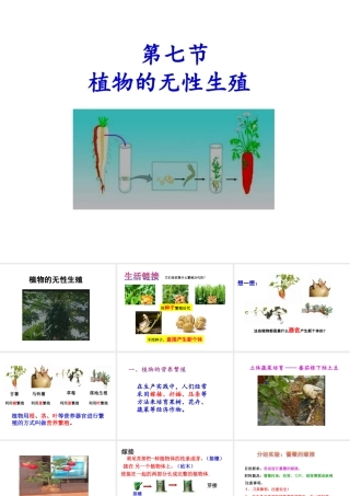 八年级生物上册 1.7 植物的无性生殖课件 （新版）济南版