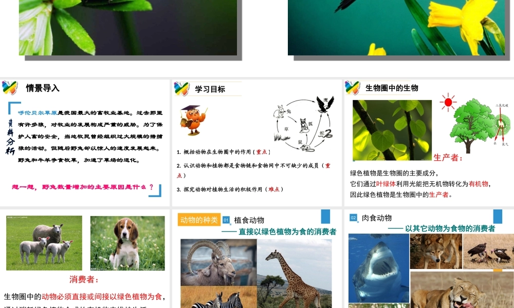 八年级生物上册 17.1《动物在生物圈中的作用》课件5 （新版）北师大版-（新版）北师大级上册生物课件