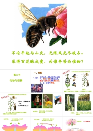 八年级生物上册 4.1.2 传粉和受精课件 （新版）济南版-（新版）济南版初中八年级上册生物课件