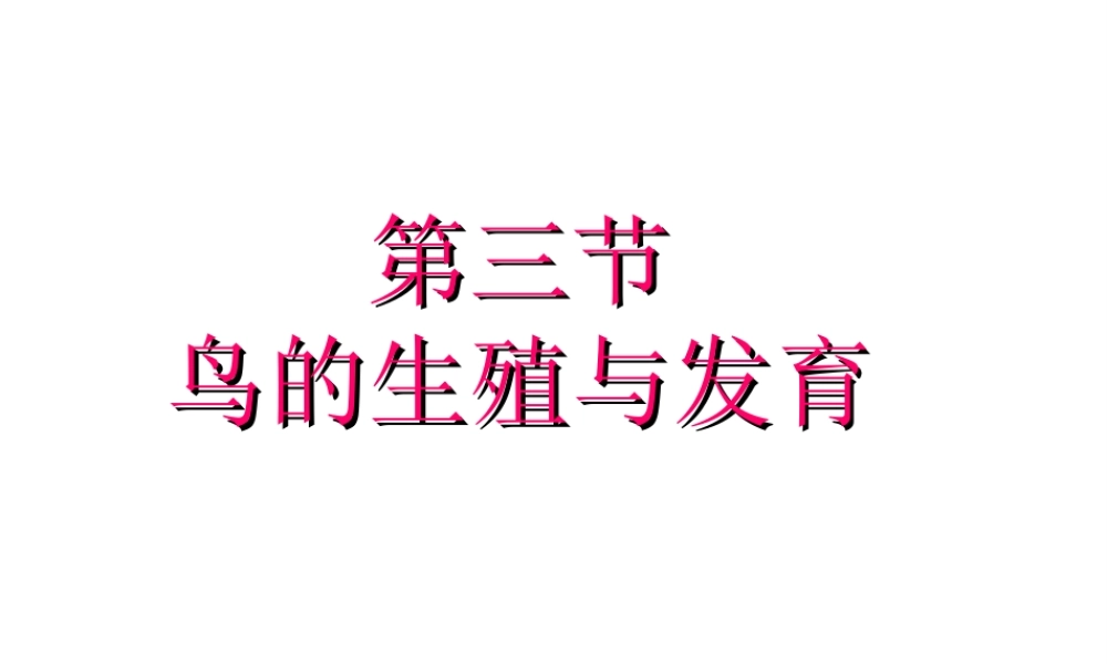 八年级生物上册 4.2.3《鸟的生殖和发育》课件1 （新版）济南版-（新版）济南版初中八年级上册生物课件