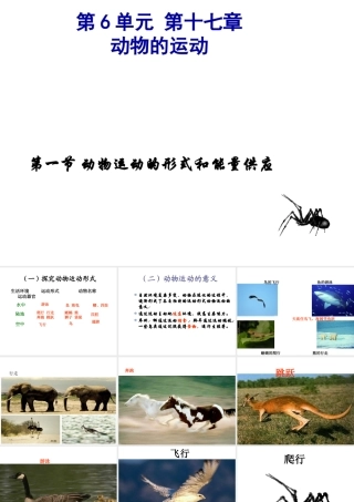 八年级生物上册 17.1动物运动的形式和能量供应课件 （新版）苏教版-（新版）苏教版初中八年级上册生物课件