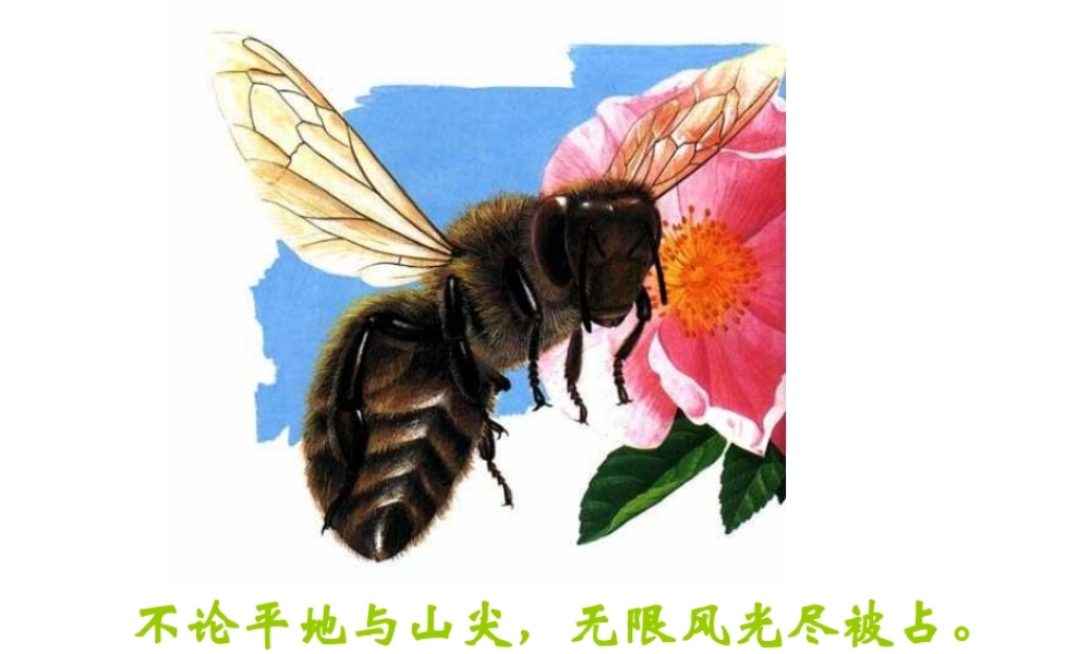 八年级生物上册 4.1.2 传粉和受精课件 （新版）济南版-（新版）济南级上册生物课件