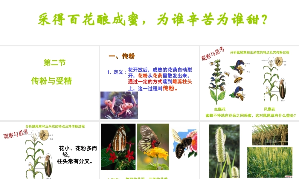 八年级生物上册 4.1.2 传粉和受精课件 （新版）济南版-（新版）济南级上册生物课件