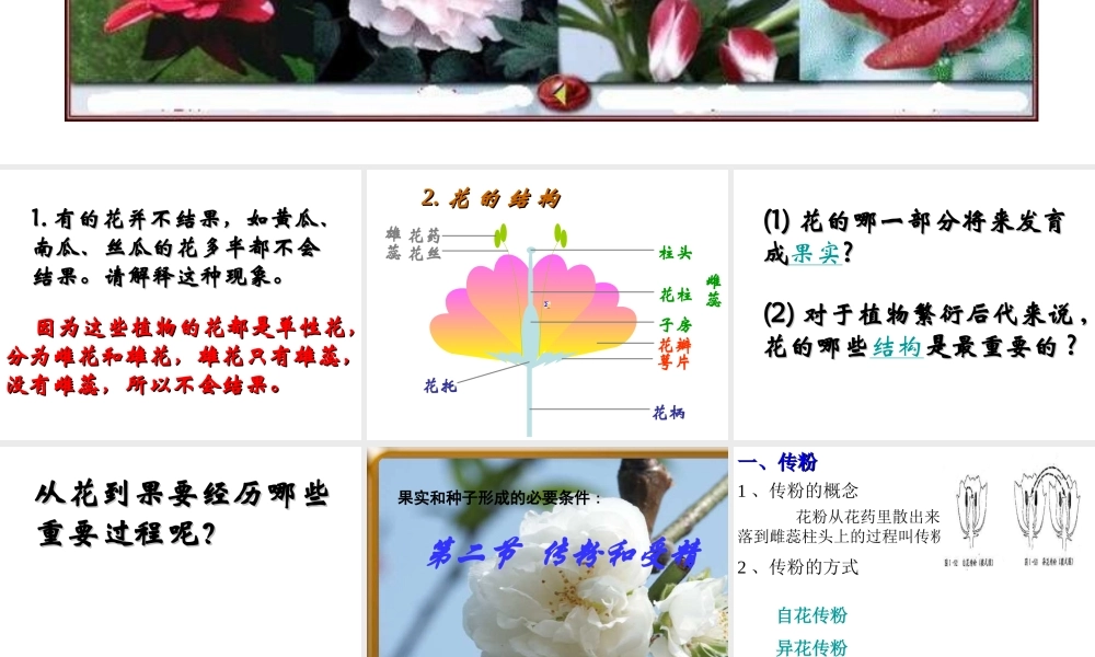 八年级生物上册 4.1.2 传粉和受精课件 济南版