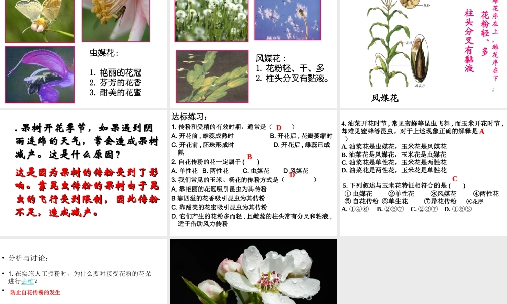 八年级生物上册 4.1.2 传粉和受精课件 济南版