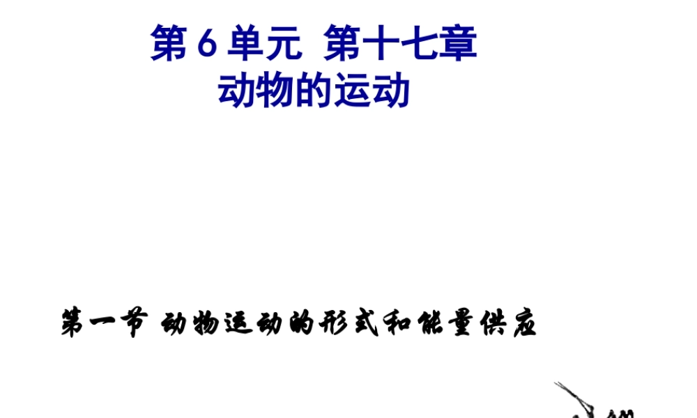八年级生物上册 17.1动物运动的形式和能量供应课件 （新版）苏教版-（新版）苏教级上册生物课件
