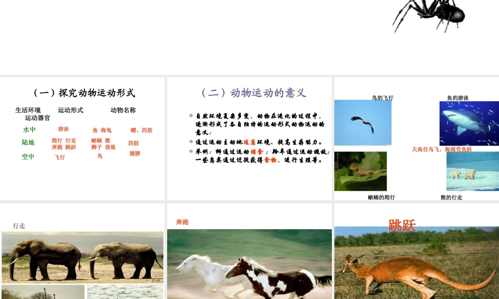 八年级生物上册 17.1动物运动的形式和能量供应课件 （新版）苏教版-（新版）苏教级上册生物课件