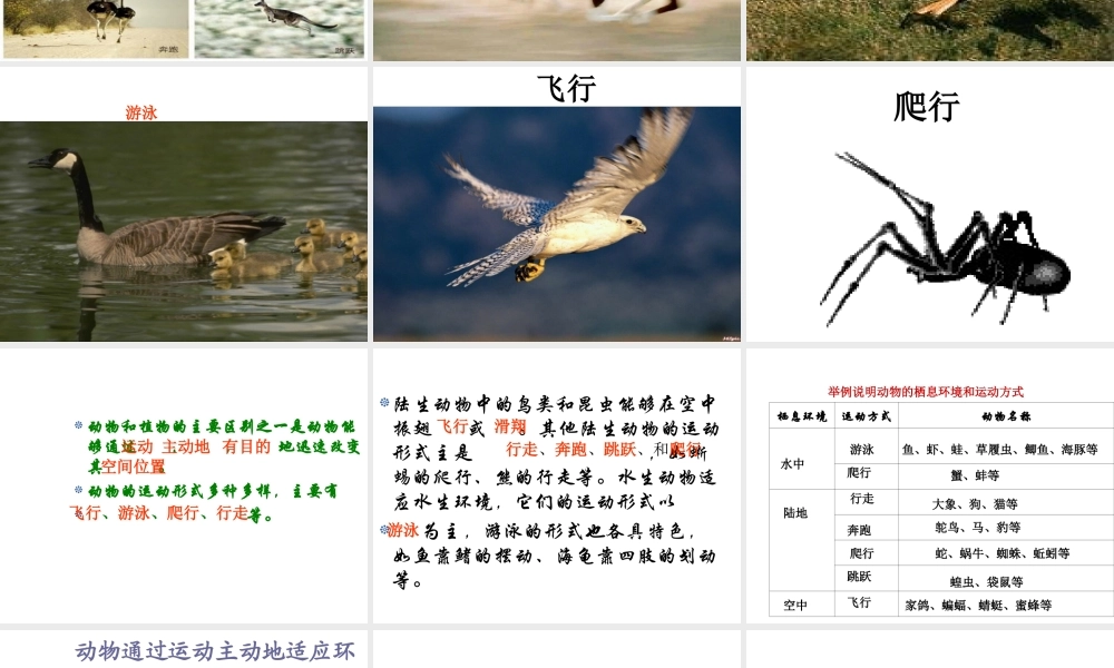 八年级生物上册 17.1动物运动的形式和能量供应课件 （新版）苏教版-（新版）苏教级上册生物课件