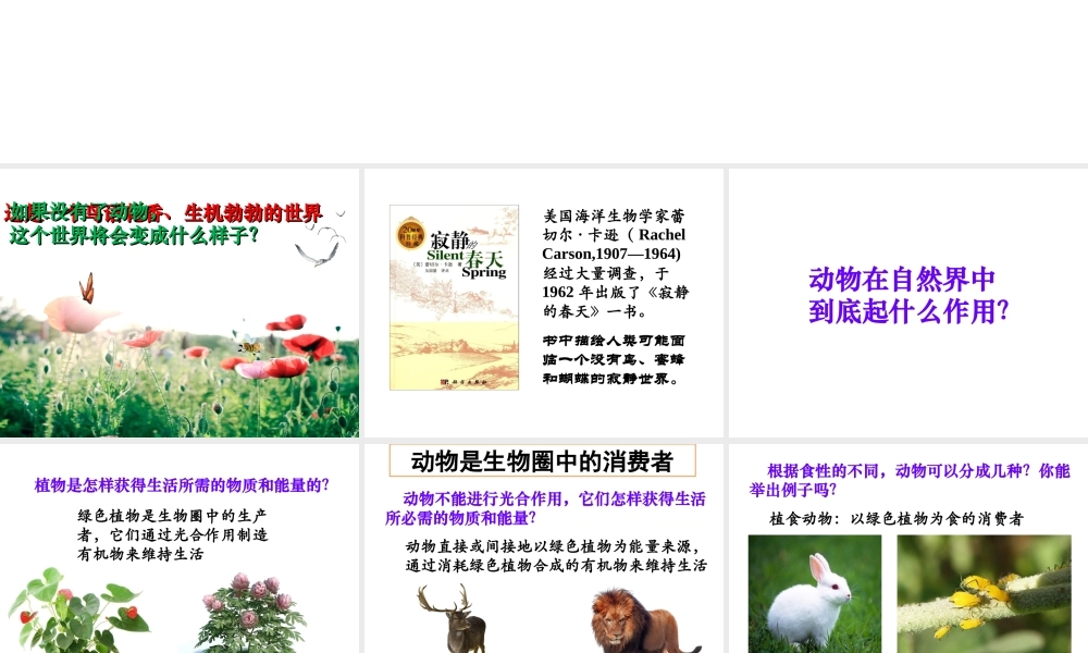 八年级生物上册 17.1动物在生物圈中的作用（第1课时）课件 （新版）北师大版